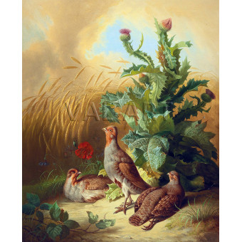 РЕПРОДУКЦИИ НА КАРТИНИ Яребици в полето (1870)